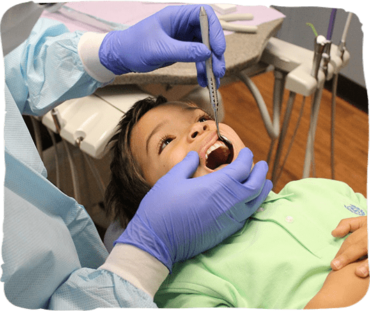 Young child receiving dental examination in pediatric dental office with gloved dentist.